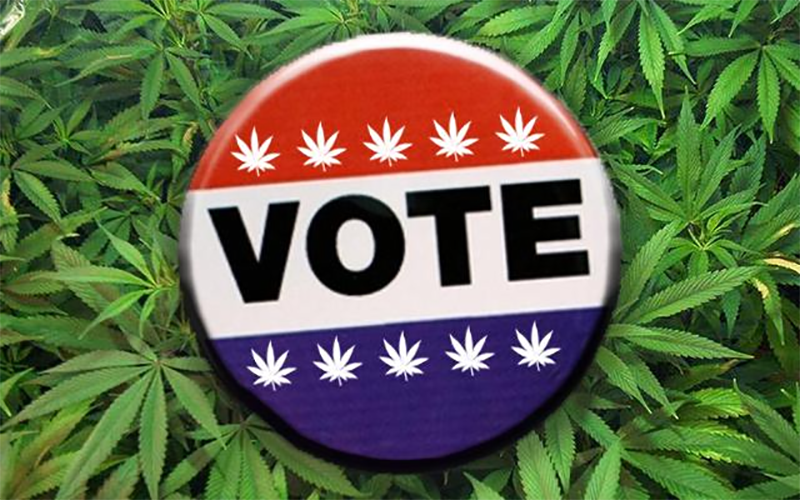 Elections américaines et cannabis