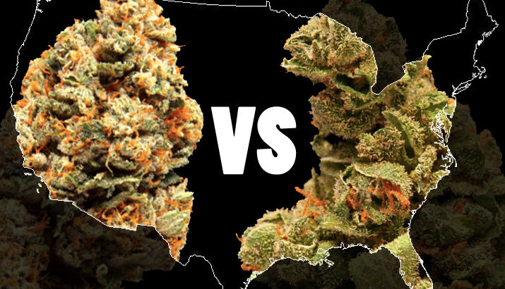 75 millions d'Américains et le cannabis