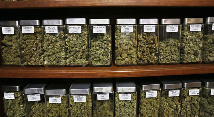 Les Irlandais pour la légalisation du cannabis médical