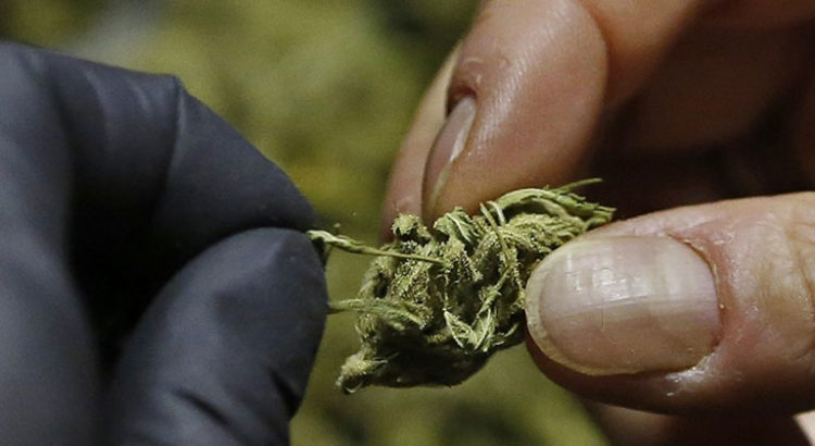 NFL et cannabis