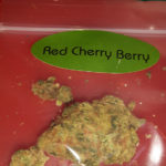 Red Cherry Berry du Barney's