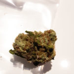 Valley Kush