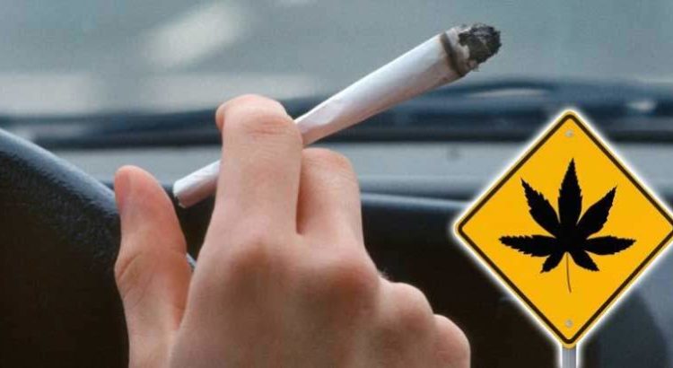 cannabis au volant
