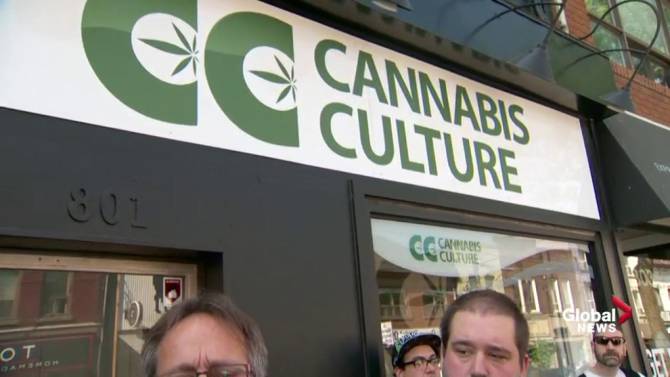 CannabisCulture Montréal