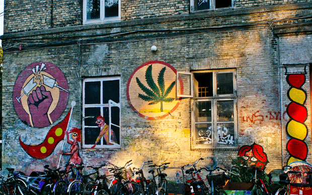 Copenhague cannabis