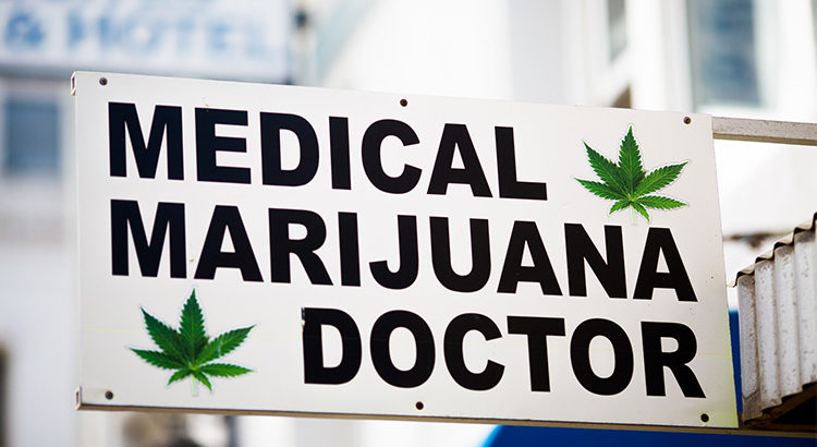 10 études cannabis médical 2016