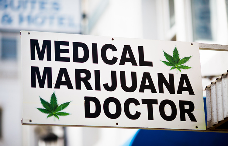 10 études cannabis médical 2016
