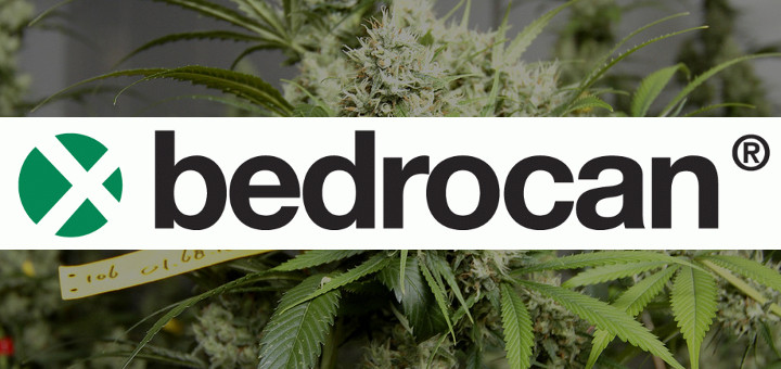 Bedrocan, fournisseur européen de cannabis médical