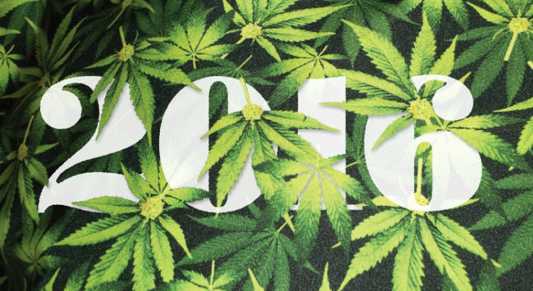 Bilan de l'année 2016 du cannabis