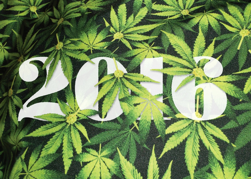 Bilan de l'année 2016 du cannabis