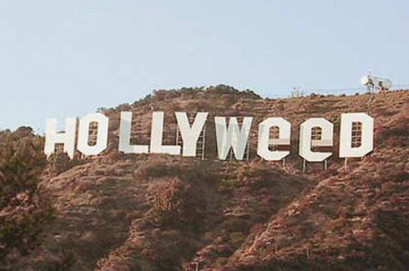 hollyweed