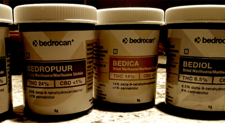 Certification médicale du Bedrocan