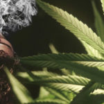 Le cannabis est-il addictif ?