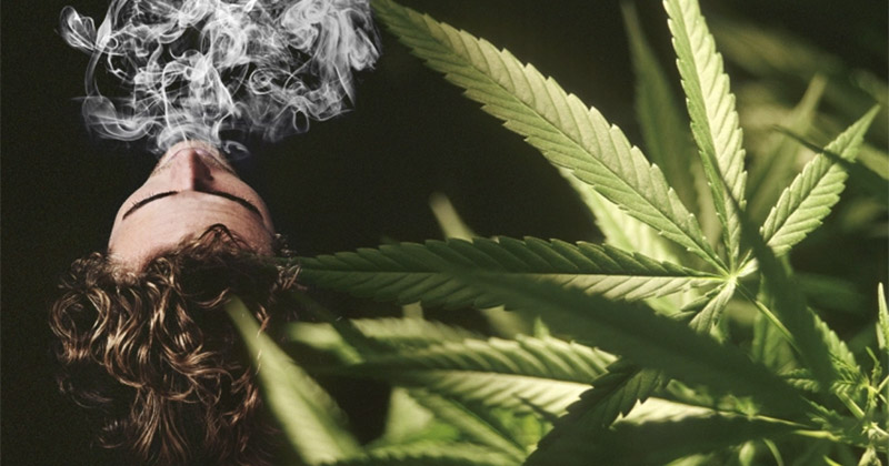 Le cannabis est-il addictif ? - Newsweed