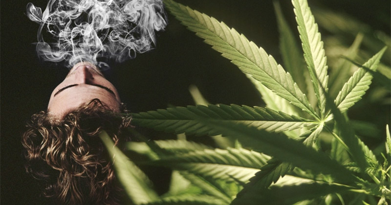 Le cannabis est-il addictif ?