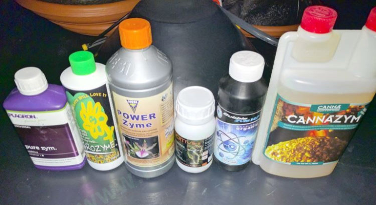 Comparatif entre enzymes