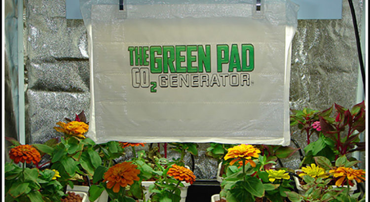 Green Pad CO2 Generator