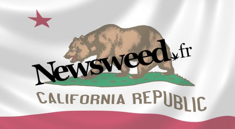 Newsweed en Californie