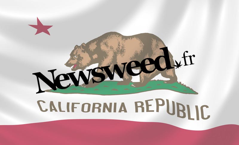 Newsweed en Californie