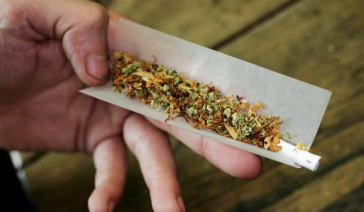 Consommation de cannabis par les adolescents