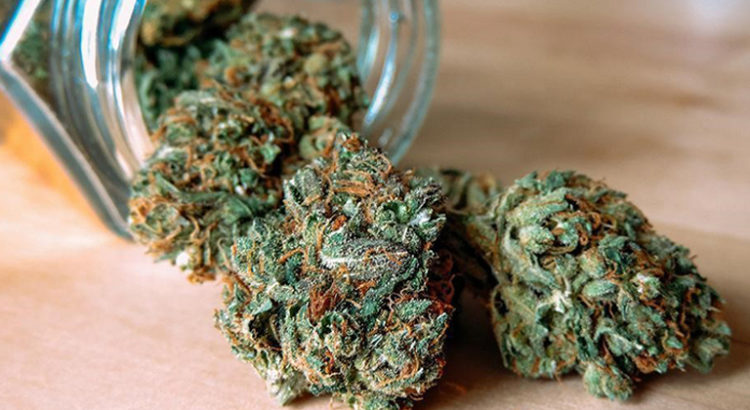 Hépatite C et cannabis