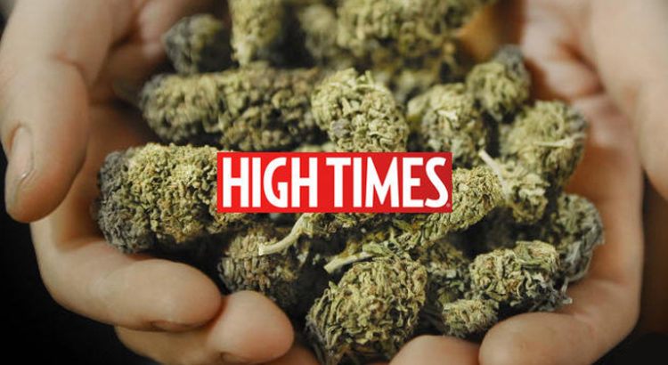 High Times Cannabis Cup