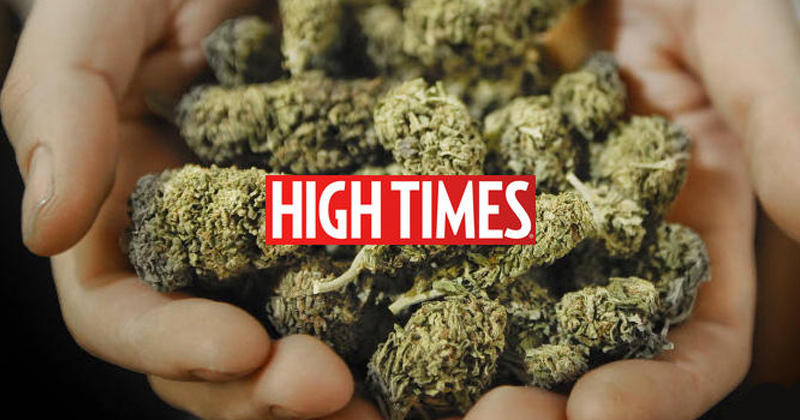 High Times Cannabis Cup