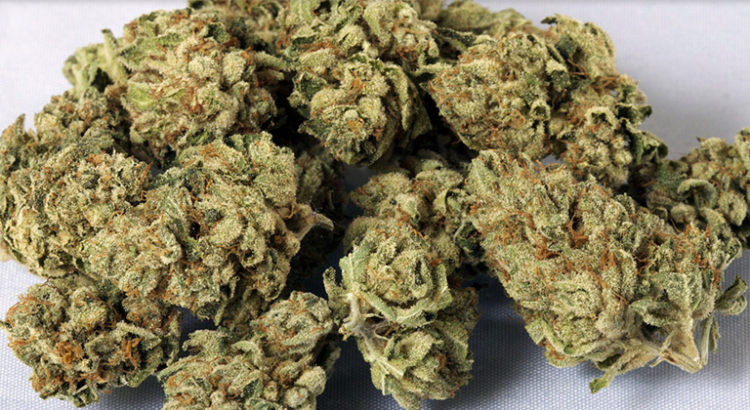 cannabis Kush