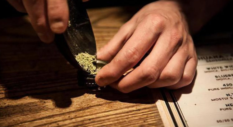 Légalisation du cannabis aux Pays Bas