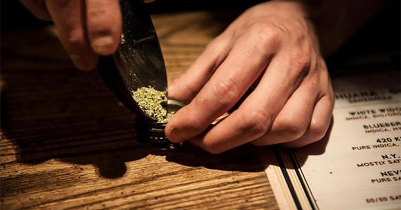Légalisation du cannabis aux Pays Bas