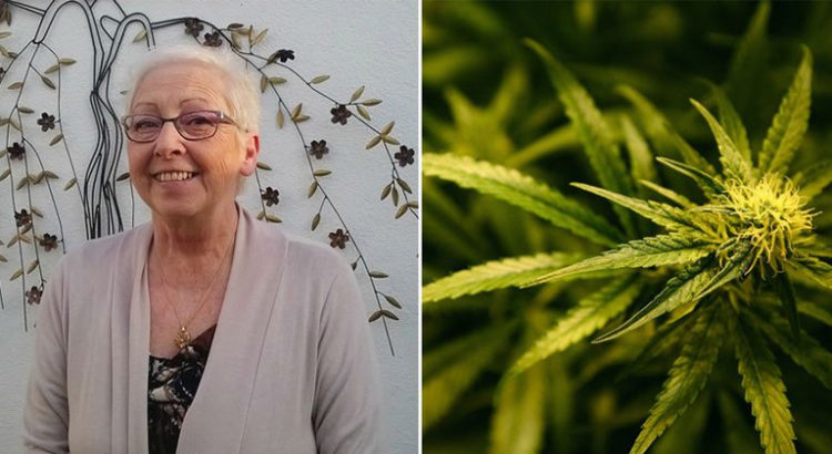 Cannabis médical au Pays de Galles