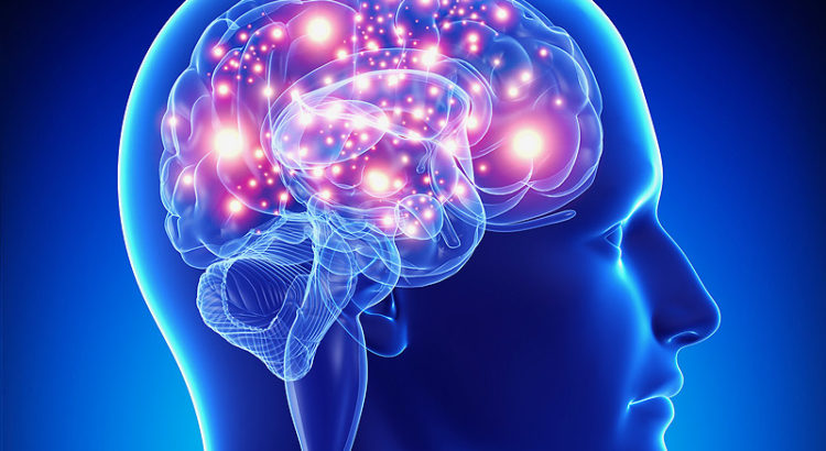 Des neurologues irlandais étudient l'impact du cannabis sur l'épilepsie