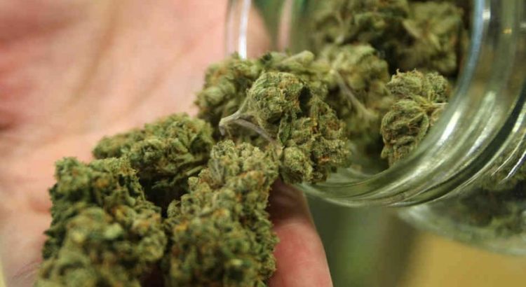 Les Australiens épileptiques se tourne vers le cannabis thérapeutique