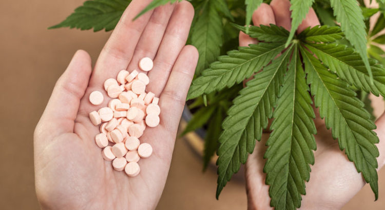 45% des patients arrêtent les traitements aux benzodiazépines pour le cannabis médical