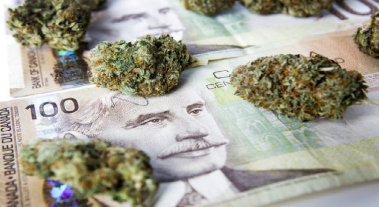 Le prix de ventes du cannabis, question centrale de la légalisation au Canada
