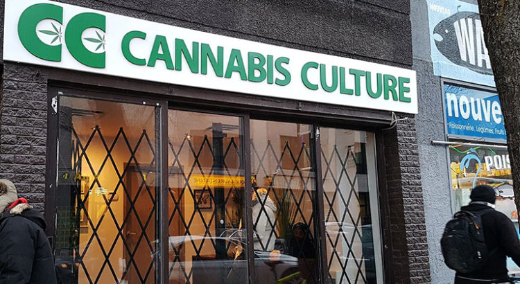 Fermeture Cannabis Culture
