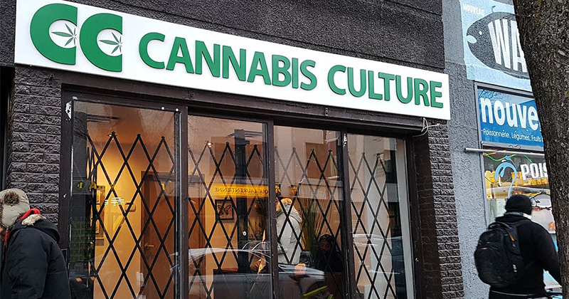 Fermeture Cannabis Culture