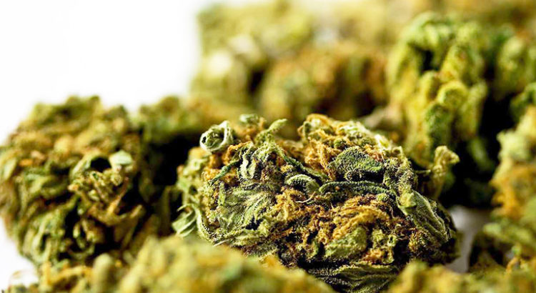Cannabis et nausées