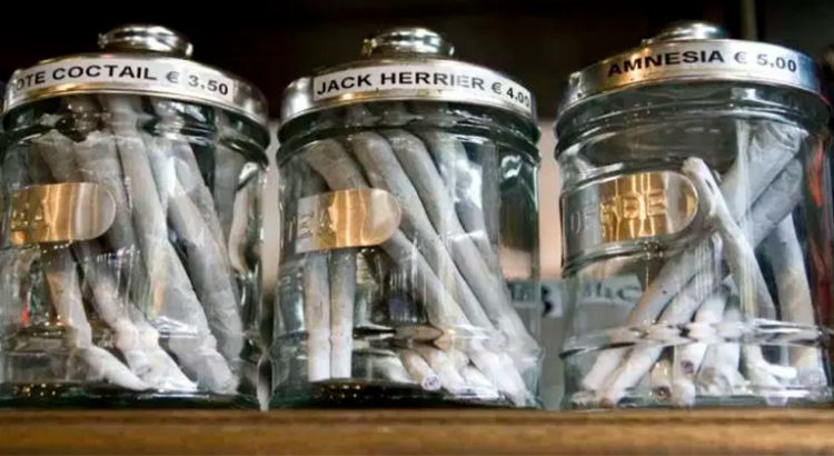 Du cannabis en pharmacies en Uruguay