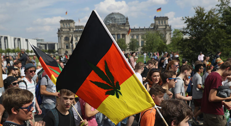 Etude sur le cannabis en Allemagne