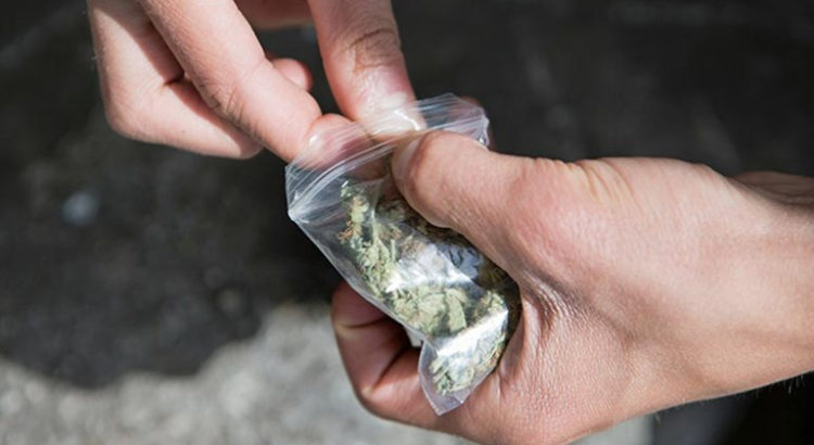 Proposition de légalisation du cannabis en Suisse