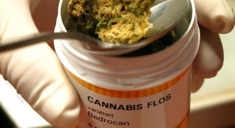 Prescription de cannabis médical en France