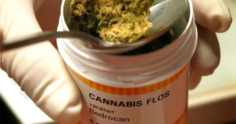 Prescription de cannabis médical en France
