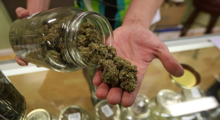 Propositions de légalisation du cannabis aux USA
