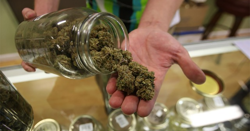 Propositions de légalisation du cannabis aux USA