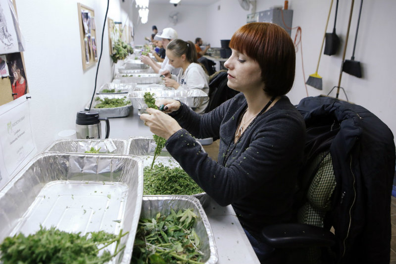 Au Colorado, la fraude se compte en kilo de weed