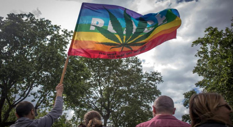 Marche Mondiale du cannabis 2017