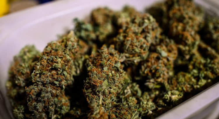 Cannabis médical à New York