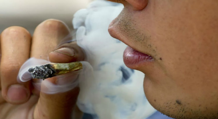 Cannabis et crises cardiaques