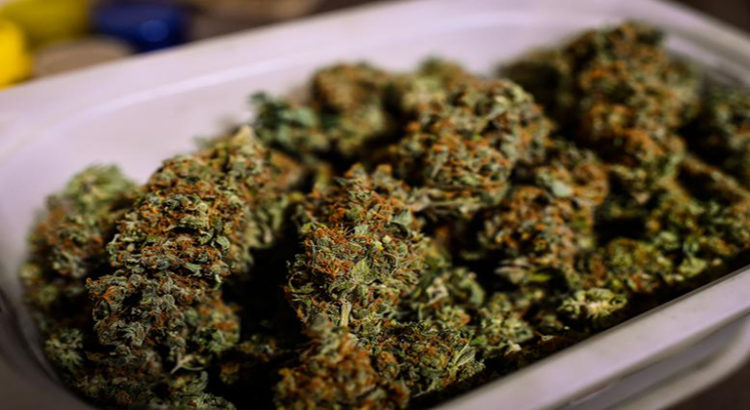 Légalisation du cannabis au Vermont